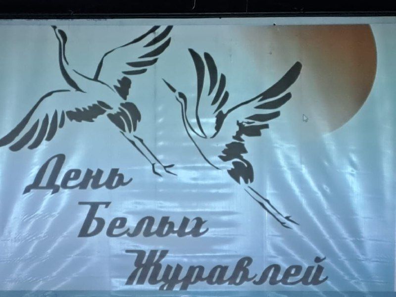 Без названия (12)